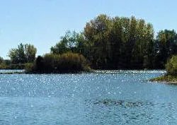 Lake Beckwith on the lake